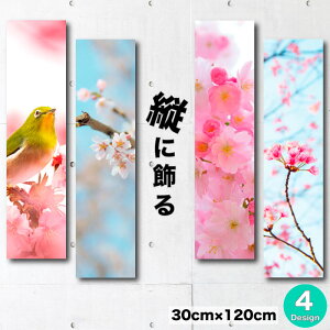 yX[p[Z[Ԍ聦 10%OFFN[||Cg{IzCeA G  A[gpl c a a { _ a_    }  ~   { ߂