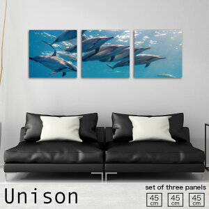 CeA A[g  A[gpl 3 Zbg _ G ANA[ CJ 킢 C C i u[ R Ǌ| G n  rO nhCh A[g{[h EH