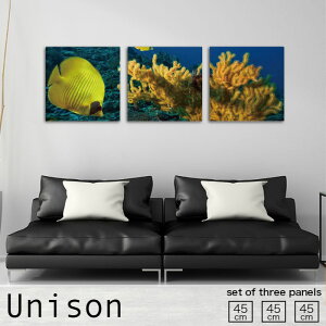 y10%OFF XԌ聦 10/25 00:00`10/30 23:59܂ŁIzCeA A[g  A[gpl 3 Zbg _ G C TS Mы R C i C  Ǌ| G n  r