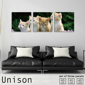 CeA A[g  A[gpl 3 Zbg _ G L qL  킢 ybg W R ₵ Ǌ| G n  rO nhCh A[g{[h EH[ lC 