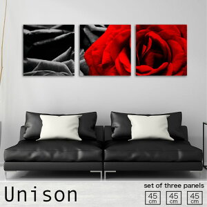 【※10%OFF 当店期間限定※ 10/25 00:00〜10/30 23:59まで!】アートパネル モノクロ 3枚 セット モダン 絵画 黒 赤 フラワー 薔薇 かっこいい 愛 植物 花 母の日 おしゃれ 壁掛け 絵 生地 インテリア