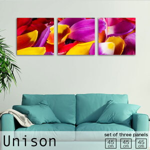 y10%OFF XԌ聦 10/25 00:00`10/30 23:59܂ŁIzCeA A[g  A[gpl 3 Zbg _ G Ԃт Jt 킢 A  ̓    lC Ǌ| G 