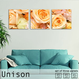 y10%OFF XԌ聦 10/25 00:00`10/30 23:59܂ŁIzCeA A[g  A[gpl 3 Zbg G Unison MTCY 킢   ̓ KN ԑ ؂₩ A t[ [Y 