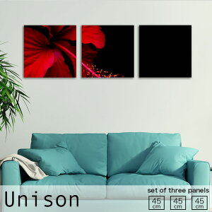 yubNtCf[ 10%OFF 11/20 20:00`11/27 01:59܂ŁIzCeA A[g  A[gpl 3 Zbg G Unison MTCY  Vv nCrXJX nCZX    