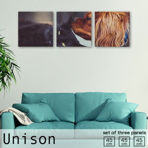 【※10%OFF 当店期間限定※ 10/25 00:00〜10/30 23:59まで!】インテリア アート おしゃれ アートパネル 3枚 セット モダン 絵画 猫 犬 ネコ イヌ cat dog 動物 アニマル 実写 リアル 自然 かわいい 仲良