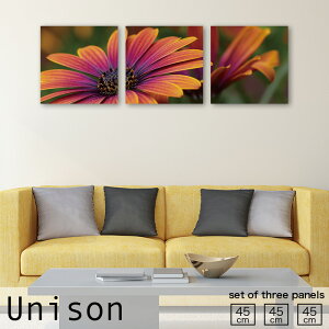 CeA A[g  A[gpl 3 Zbg G  t[  Ԃт ԕ A Y  킢 [t R i`  t ʂ N₩ Jt  rO n