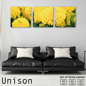 y3Ԍ聦 X |Cg10{I11/29`12/1܂ŁIzCeA A[g  A[gpl 3 Zbg G }[S[h LN  t[  Ԃт ԕ A e [t