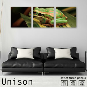 y10%OFF XԌ聦 11/5 18:00`11/16 23:59܂ŁIzCeA A[g  A[gpl 3 Zbg _ G  Aj}  A R ^ JG tbO ʐ^ J ~J A