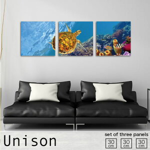 【※10%OFF 当店期間限定※ 10/25 00:00〜10/30 23:59まで!】インテリア アート おしゃれ アートパネル 3枚 セット モダン 絵画 カメ サンゴ 海中 アクアリウム かわいい 風景 海 自然 壁掛け 絵 生地