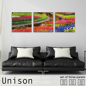 y10%OFF XԌ聦 10/25 00:00`10/30 23:59܂ŁIzCeA A[g  A[gpl 3 Zbg _ G K[f  ̓ Ԕ t[ Jt 킢 R i Ǌ|