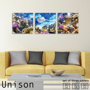 y10%OFF XԌ聦 10/25 00:00`10/30 23:59܂ŁIzCeA A[g  A[gpl 3 Zbg _ G TS C C C GC Y R i N₩ Ǌ| G n  