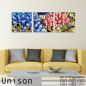 【※10%OFF 当店期間限定※ 10/25 00:00〜10/30 23:59まで!】インテリア アート おしゃれ アートパネル 3枚 セット モダン 絵画 熱帯魚 サンゴ 魚 海中 自然 風景 海 カラフル 壁掛け 絵 生地 玄関 リ