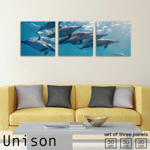 【※10%OFF 当店期間限定※ 10/25 00:00〜10/30 23:59まで!】インテリア アート おしゃれ アートパネル 3枚 セット モダン 絵画 アクアリューム イルカ かわいい 海 海中 風景 ブルー 自然 壁掛け 絵
