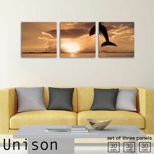 【※10%OFF 当店期間限定※ 10/25 00:00〜10/30 23:59まで!】インテリア アート おしゃれ アートパネル 3枚 セット モダン 絵画 セピア 風景 イルカ 夕日 夕焼け 海 空 自然 雲 壁掛け 絵 生地 玄関 リ