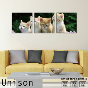 CeA A[g  A[gpl 3 Zbg _ G L qL  킢 ybg W R ₵ Ǌ| G n  rO nhCh A[g{[h EH[ lC 