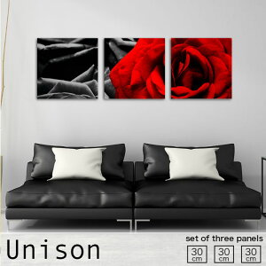 A[gpl mN 3 Zbg _ G   t[ KN   A  ̓  Ǌ| G n _CeA G lCt@ubNpl ` 30cm