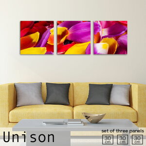 y10%OFF XԌ聦 10/25 00:00`10/30 23:59܂ŁIzCeA A[g  A[gpl 3 Zbg _ G Ԃт Jt 킢 A  ̓    lC Ǌ| G 