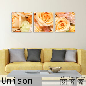 y10%OFF XԌ聦 10/25 00:00`10/30 23:59܂ŁIzCeA A[g  A[gpl 3 Zbg G Unison MTCY 킢   ̓ KN ԑ ؂₩ A t[ [Y 