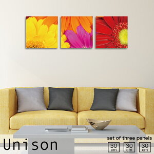 CeA A[g  A[gpl 3 Zbg G Unison MTCY IW   sN K[x  t[ ̓ A ԑ 킢 Ǌ| G n  rO nhCh 