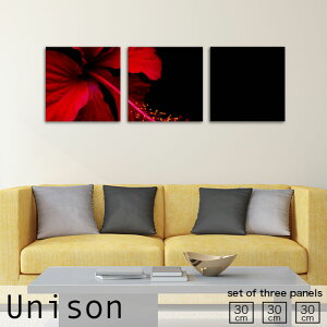 yubNtCf[ 10%OFF 11/20 20:00`11/27 01:59܂ŁIzCeA A[g  A[gpl 3 Zbg G Unison MTCY  Vv nCrXJX nCZX    