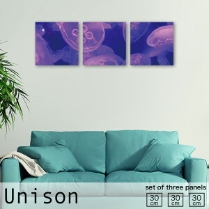 CeA A[g  A[gpl 3 Zbg G NQ 炰  R C C C  [C 킢 zI _I Y ANAE   lIJ[  r