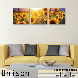 CeA A[g  A[gpl 3 Zbg G  t[ Ԃт ԕ A R Ђ܂  [t i` i iF [Ă Ԕ Y 킢 CG[ F  