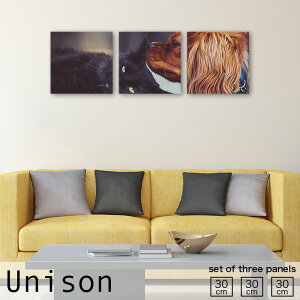 y10%OFF XԌ聦 11/5 18:00`11/16 23:59܂ŁIzCeA A[g  A[gpl 3 Zbg _ G L  lR Ck cat dog  Aj}  A R 킢 