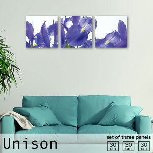 yX[p[Z[Ԍ聦 10%OFFN[||Cg{IzCeA A[g  A[gpl 3 Zbg G  t[ Ԃт ԕ A [t R i`  t 