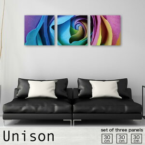 yX[p[Z[Ԍ聦 10%OFFN[||Cg{IzCeA A[g  A[gpl 3 Zbg G KN [Y ԕ A o rose N₩ Y h 킢  t