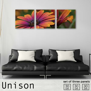 インテリア アート おしゃれ アートパネル 3枚 セット 絵画 花 フラワー 小花 花びら 花柄 植物 綺麗 癒し かわいい リーフ 自然 ナチュラル 木 葉っぱ 彩り 鮮やか カラフル 玄関 リビング ハ