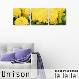 CeA A[g  A[gpl 3 Zbg G }[S[h LN  t[  Ԃт ԕ A e [t R i`  t ʂ N₩ Ԍt N  r