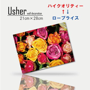 ؍ CeA G  Vv Ǌ|  CeA A[g A[gpl G t@ubNpl t[ o KN Jt t[AWg ԑ ԕ A [t t