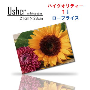 ؍ CeA G  Vv t@ubNpl  k _ A[g Ǌ| A[gpl GЂ܂ _A  t[ t[AWg A  t 