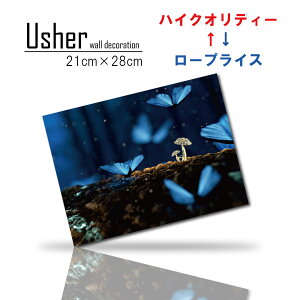 ؍ CeA G  Vv t@ubNpl _  A[g Ǌ| A[gpl GzI t@^W[ CG Rs[^[OtBbN LmR R lC`[ i A