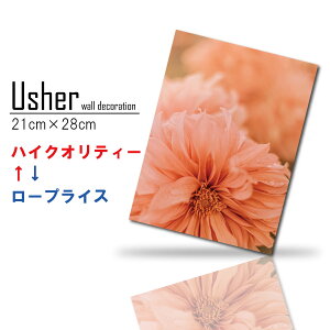 ؍ CeA G  Vv t@ubNpl  k A[g Ǌ| A[gpl Gt[ t[AWg sN  Vv ^  ZsA Ԃт 