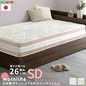 y2Ԍ 12/8`9܂Ł z|Cg{ yVX[p[Z[z{|PbgRC}bgX mornisha j[V Z~_u 26cm nCNIeBXvO [dߎdl R 