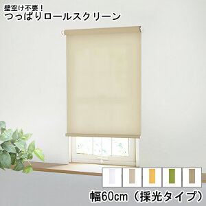 [XN[ ς^Cv ̌^Cv ς胍[XN[ 60cm ̌ ǋ󂯕sv  XN[ Ԏd؂ uCh ς Hsv tȒP OK 킢 