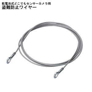 yz|Cg{ Ԍ聦 X[p[Z[Jn12/5܂ŁIzh~C[ drǂłZT[Jp C[̂  JpC[ ZLeBC