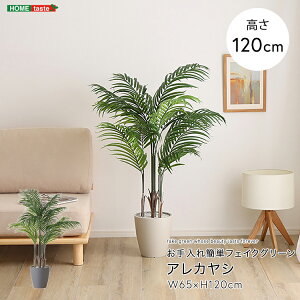 tFCNO[ lHϗtA ϗtA t AJV V STCY 120cm  A O[ ȒP C A i` IV  tFCN rO Q 