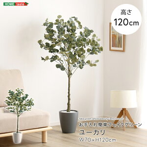 tFCNO[ lHϗtA ϗtA t [J STCY 120cm  A O[ ȒP k A i` IV   tFCN rO Q 