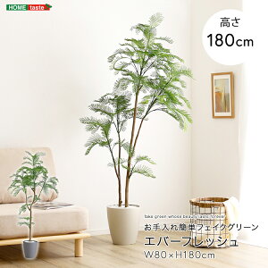 tFCNO[ lHϗtA ϗtA t Go[tbV LTCY 180cm  A O[ ȒP k A i` IV 傫 tFCN rO Q 