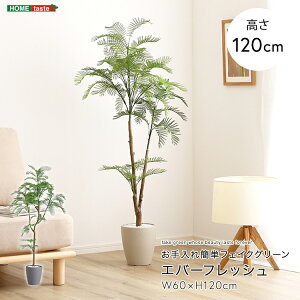 フェイクグリーン 人工観葉植物 観葉植物 鉢付 エバーフレッシュ Sサイズ 120cm おしゃれ リアル グリーン お手入れ簡単 北欧 リアル ナチュラル オシャレ 小さめ フェイク リビング 寝室 玄関