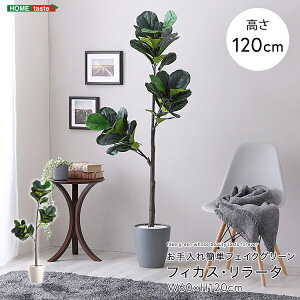 tFCNO[ lHϗtA ϗtA t tBJX [^ LTCY 180cm  A O[ ȒP k A i` IV 傫 tFCN rO Q 