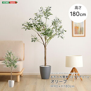 フェイクグリーン 人工観葉植物 観葉植物 鉢付 オリーブ Mサイズ 150cm おしゃれ リアル グリーン お手入れ簡単 北欧 リアル ナチュラル オシャレ 送料無料 大きめ フェイク リビング 寝室 玄