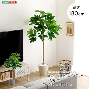 tFCNO[ lHϗtA ϗtA t pL LTCY 180cm  A O[ ȒP k A i` IV  傫 tFCN rO Q  