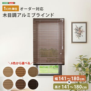 uCh A~ ډB uChJ[e ՔM blind A~uCh O J-e curtain k ؖ  I[_[ 1cm V I[V[Y ؖڒ 141`180cm×141`180cm I