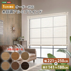 yԌ z 50%OFF X[p[Z[JÁzuCh A~ ډB uChJ[e ՔM blind A~uCh O J-e curtain k ؖ  I[_[ 1cm V