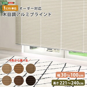 uCh A~ ډB uChJ[e ՔM blind A~uCh O J-e curtain k ؖ  I[_[ 1cm V I[V[Y ؖڒ 30`100cm×221`240cm I[