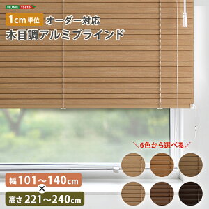 uCh A~ ډB uChJ[e ՔM blind A~uCh O J-e curtain k ؖ  I[_[ 1cm V I[V[Y ؖڒ 101`140cm×221`240cm I