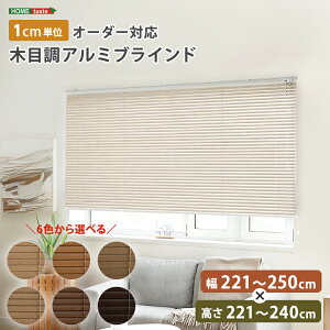 yX Ԍ |Cg{ 9/25`10/2܂ŁIzuCh A~ ډB uChJ[e ՔM blind A~uCh O J-e curtain k ؖ  I[_[ 1cm V